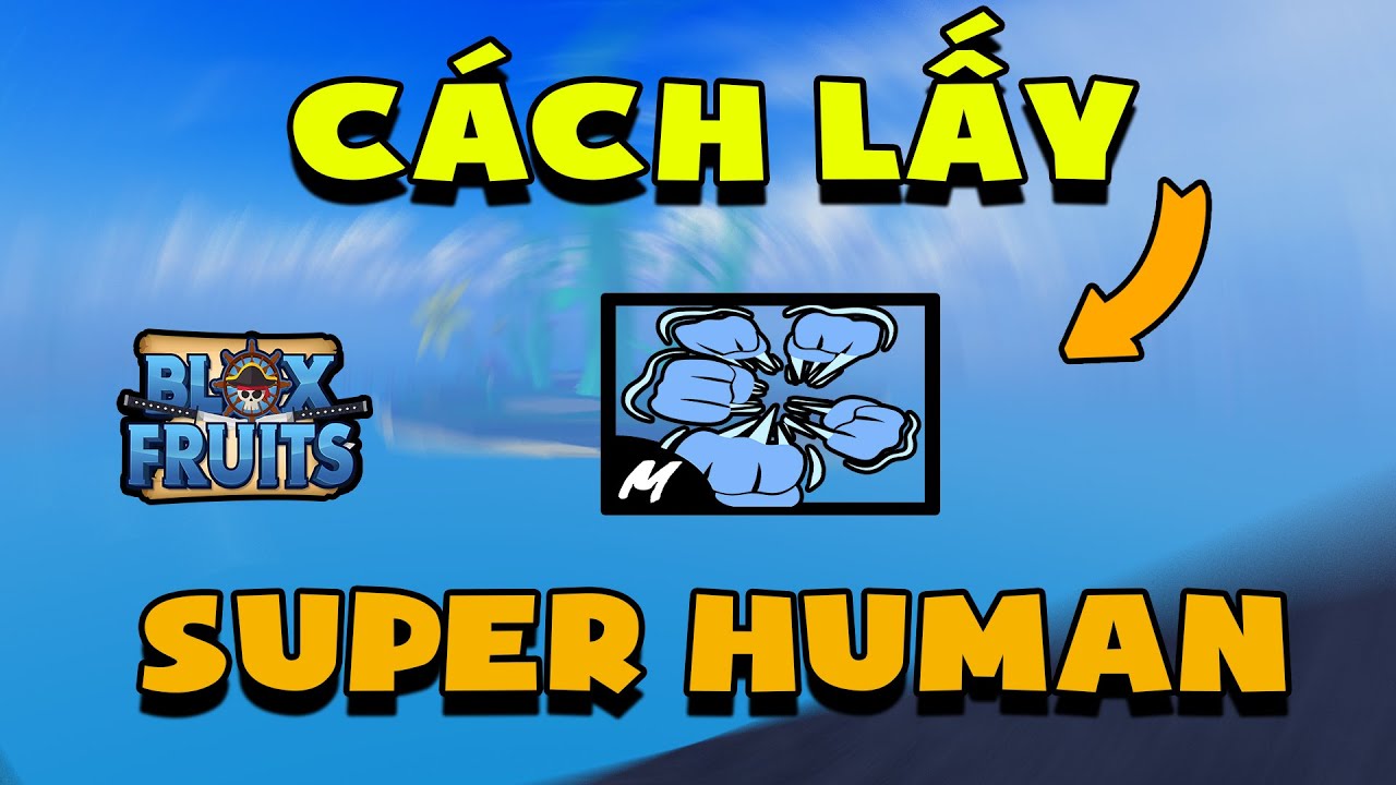 Cách lấy Superhuman Blox Fruit nhanh chóng siêu chi tiết