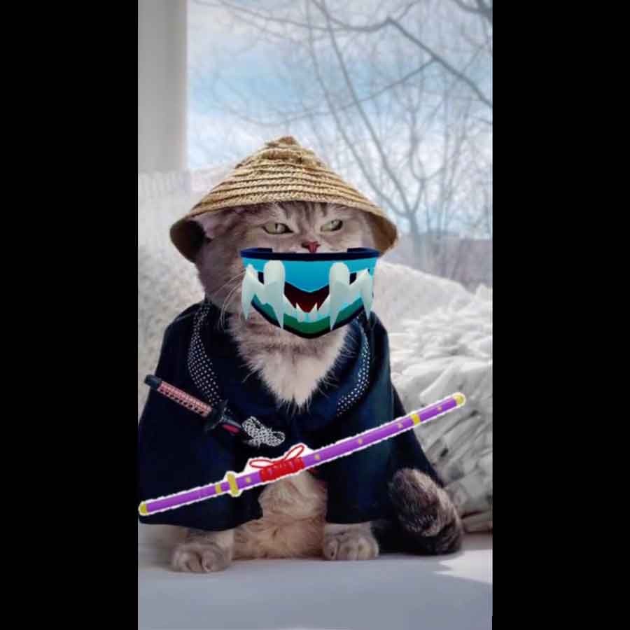 Tại sao Avatar Mèo blox fruit  lại trở thành trào lưu nóng trong Roblox?