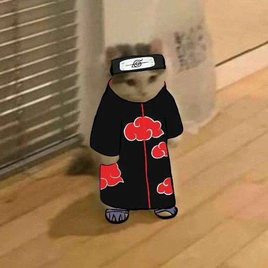 9 Avatar Mèo blox fruit trở thành trào lưu nóng trong Roblox