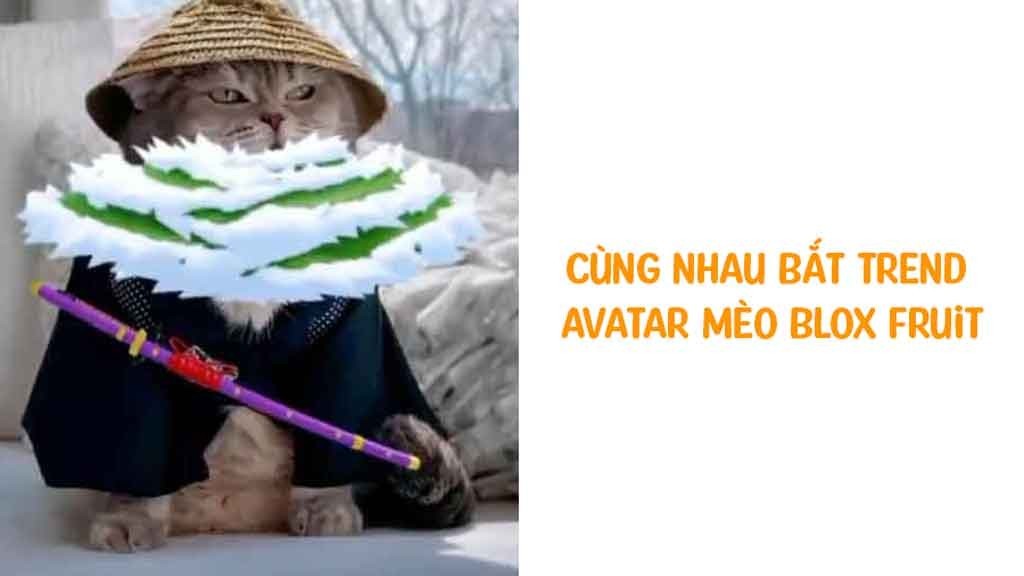 Trào lưu avatar mèo Blox Fruits bắt nguồn từ đâu?